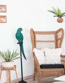 La Villa Juan Beach